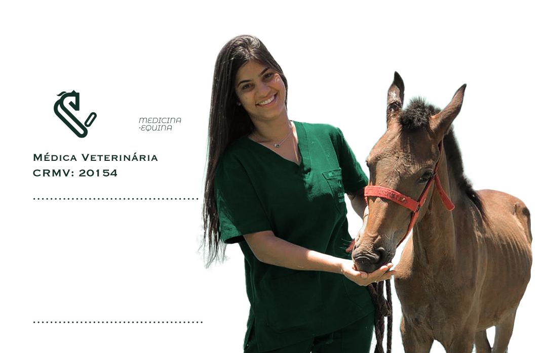 Veterinária Franciele Alves - Medicina Equina
